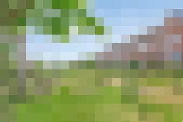 Land van Straub 32 Goes thumbnail 29