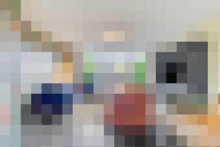 Land van Straub 32 Goes thumbnail 6