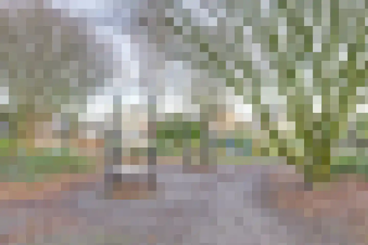 Land van Waas 4 Zwijndrecht thumbnail 59