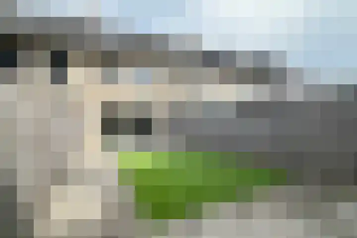 Land voor Water 26 Waddinxveen thumbnail 25