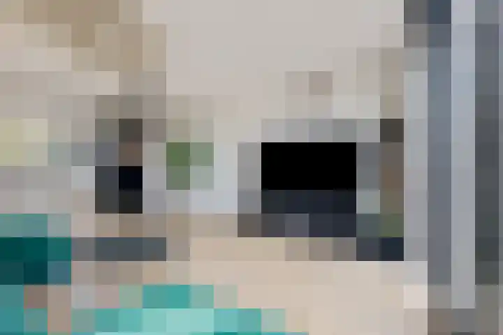 Land voor Water 26 Waddinxveen thumbnail 9