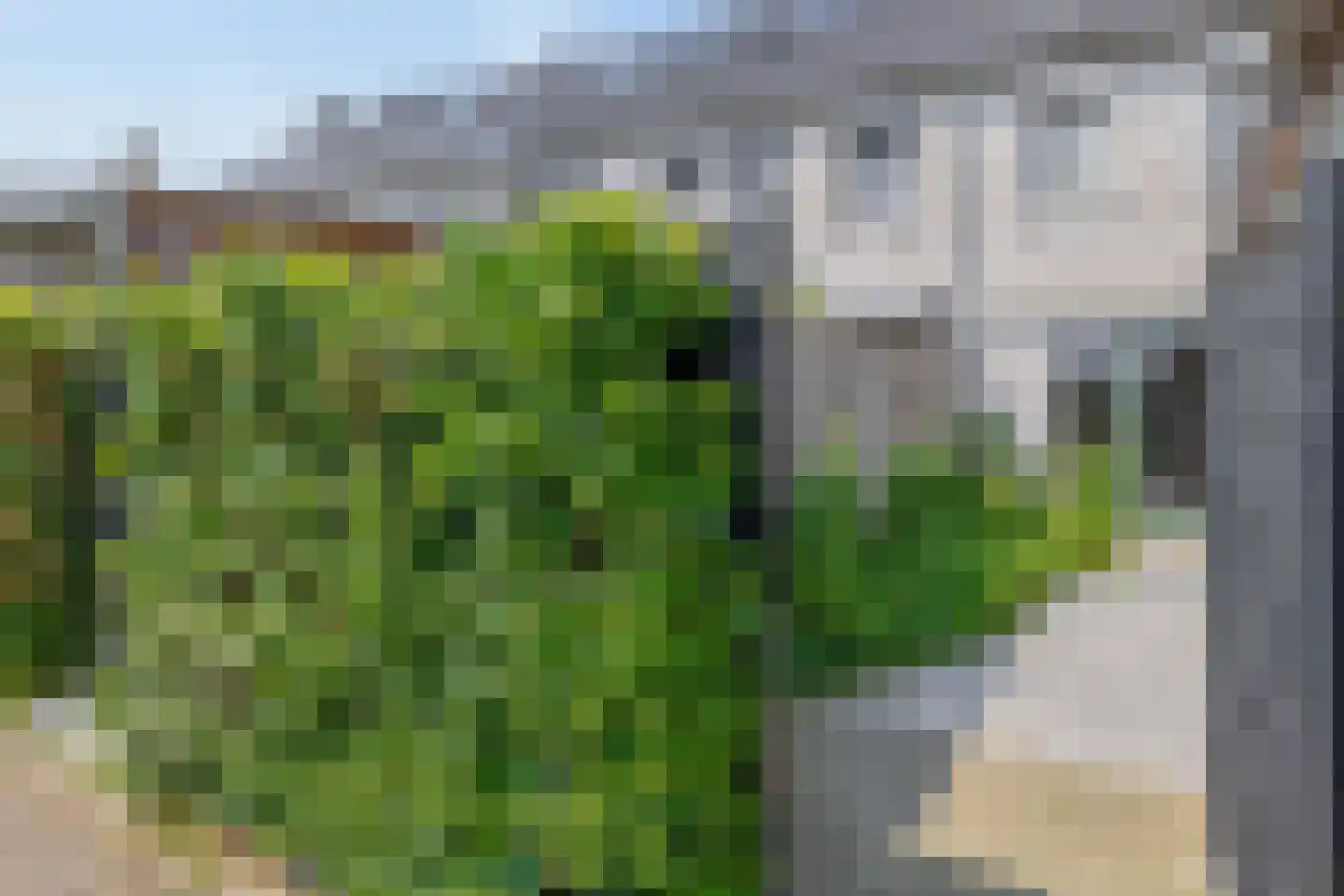 Land voor Water 40 Waddinxveen thumbnail 24