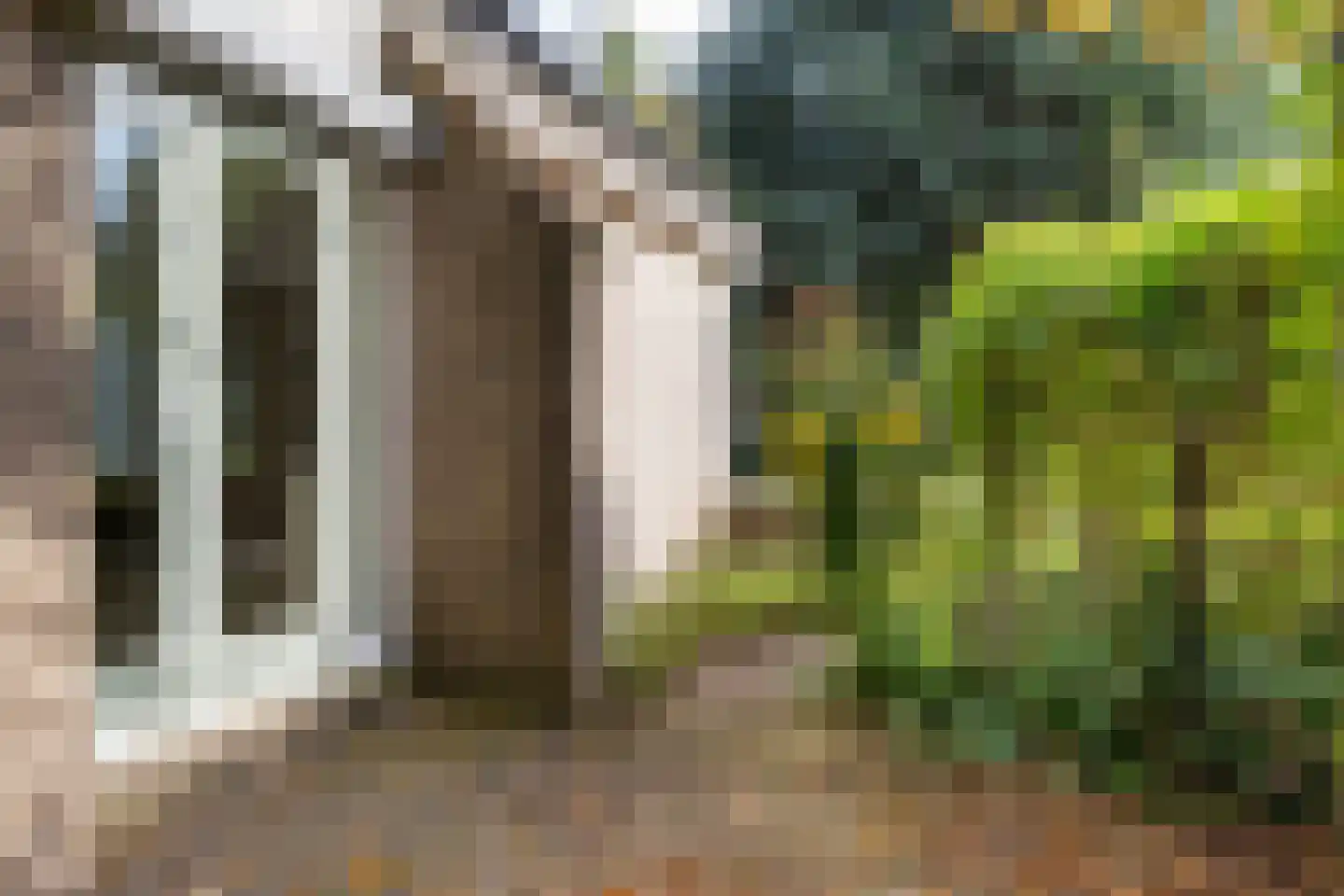 Land voor Water 48 Moordrecht thumbnail 31