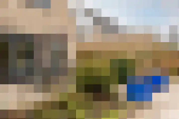 Land voor Water 58 Moordrecht thumbnail 53
