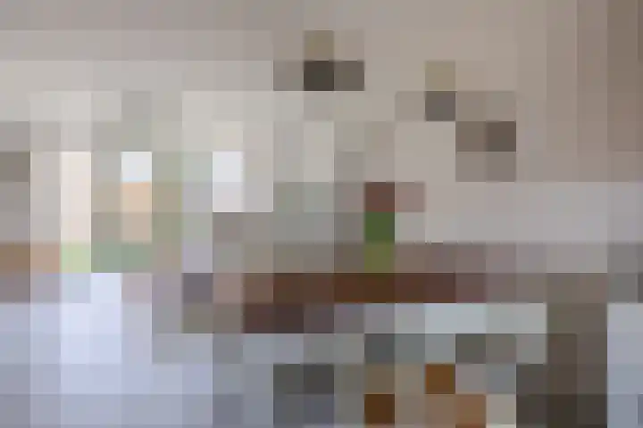 Land voor Water 78 Waddinxveen thumbnail 11