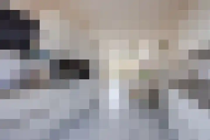 Land voor Water 78 Waddinxveen thumbnail 14