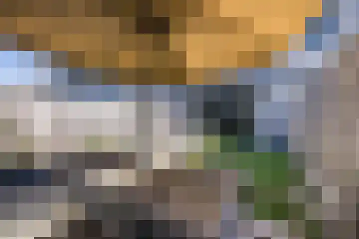 Land voor Water 78 Waddinxveen thumbnail 33