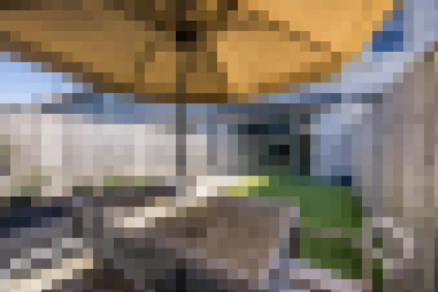 Land voor Water 78 Waddinxveen thumbnail 35