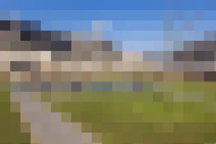Land voor Water 78 Waddinxveen thumbnail 40