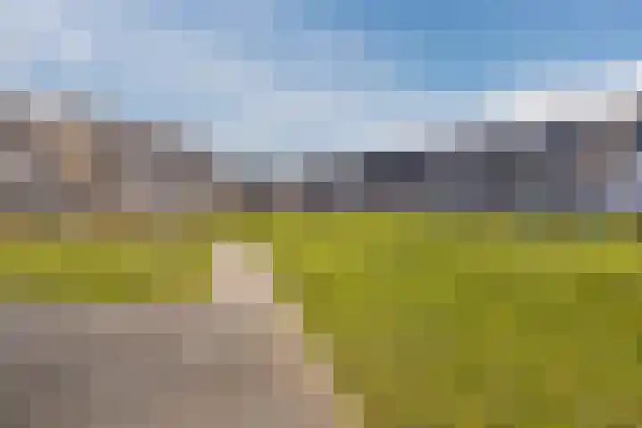 Land voor Water 78 Waddinxveen thumbnail 42