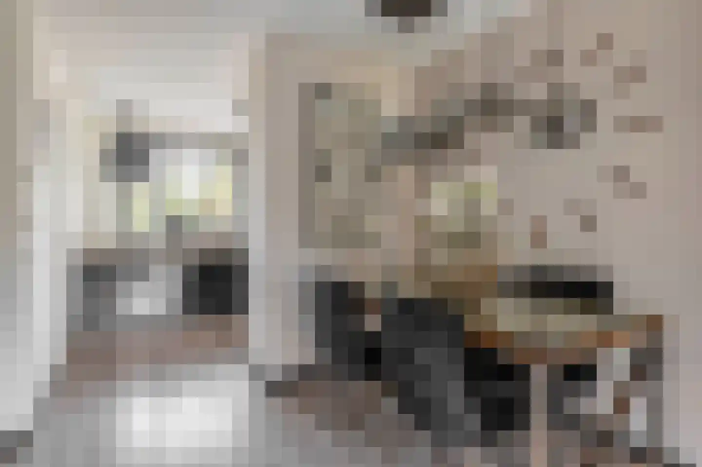 Land voor Water 92 Waddinxveen thumbnail 12