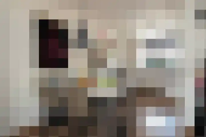 Landauer 24 Hasselt thumbnail 18