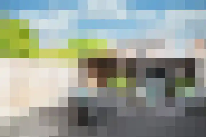 Landauer 24 Hasselt thumbnail 25
