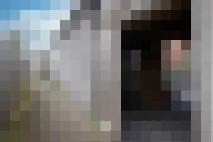 Landauer 24 Hasselt thumbnail 27