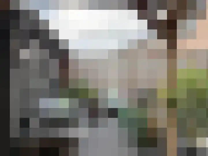 Landauer 24 Hasselt thumbnail 30