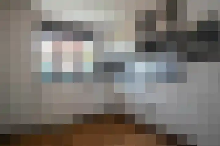 Landauer 24 Hasselt thumbnail 4