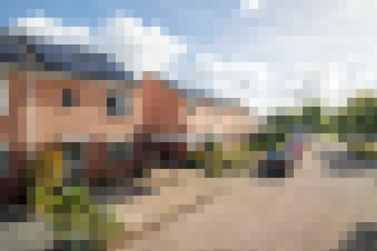 Landauer 26 Hasselt thumbnail 11