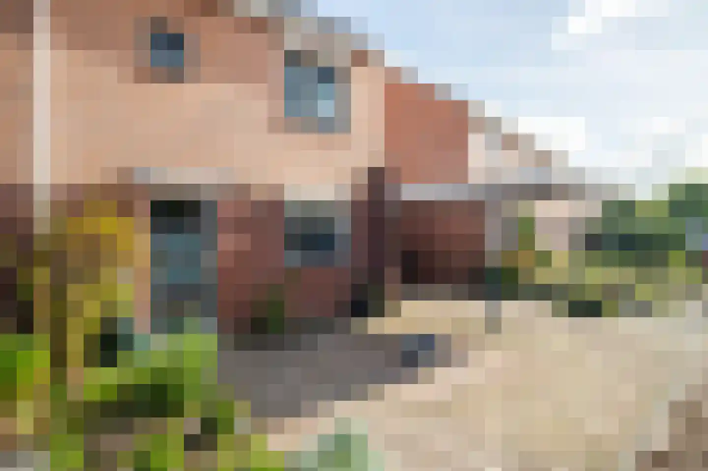 Landauer 26 Hasselt thumbnail 12