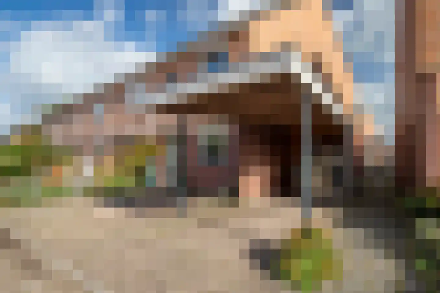 Landauer 26 Hasselt thumbnail 13