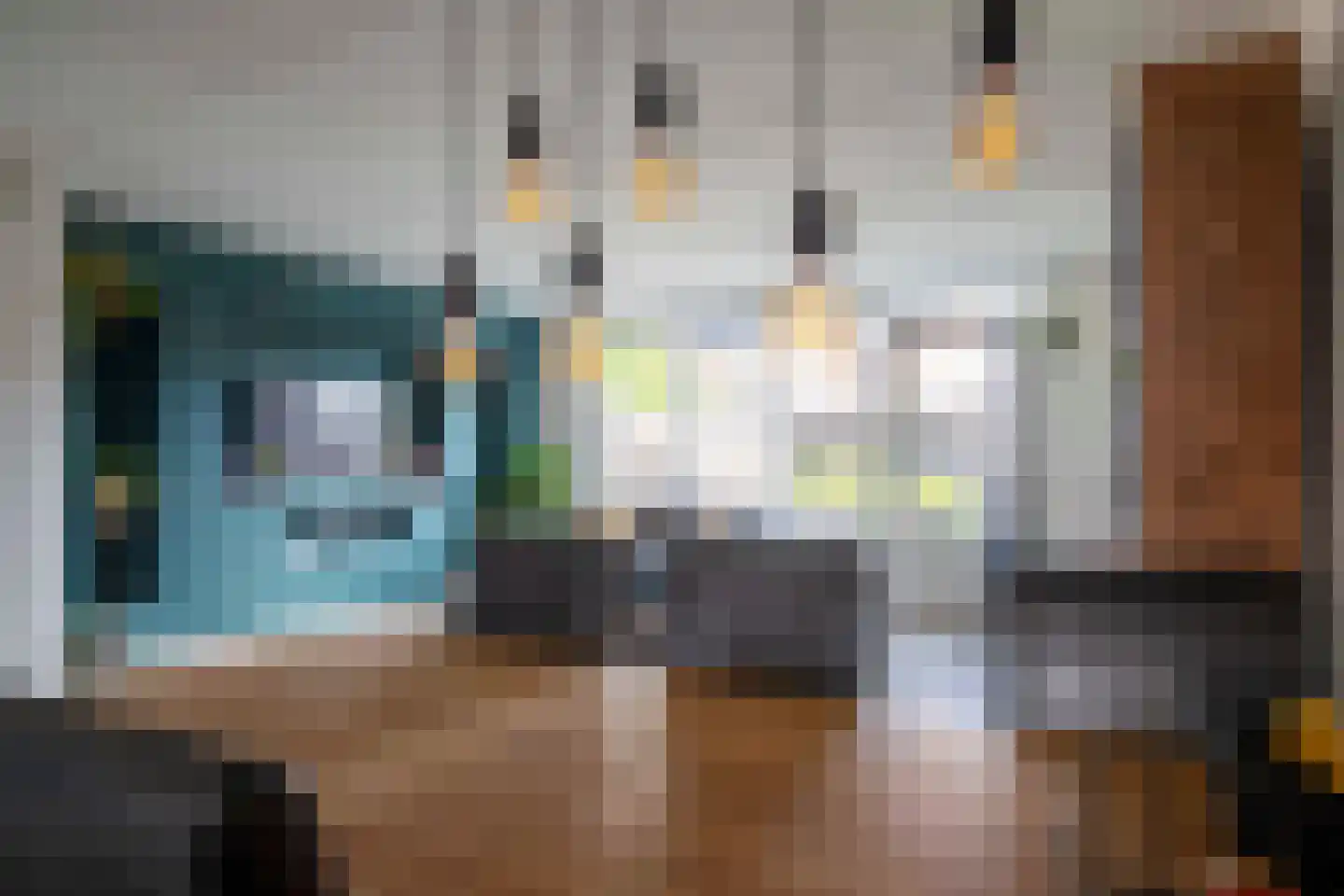 Landauer 26 Hasselt thumbnail 18