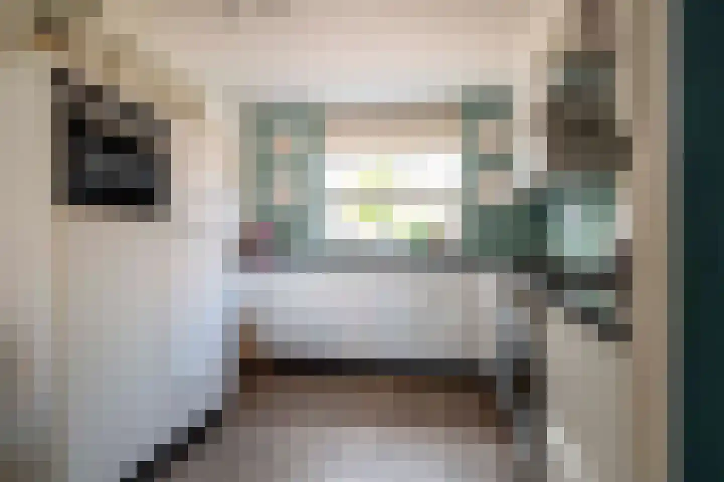 Landauer 26 Hasselt thumbnail 20