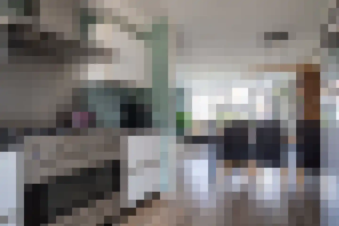 Landauer 26 Hasselt thumbnail 21