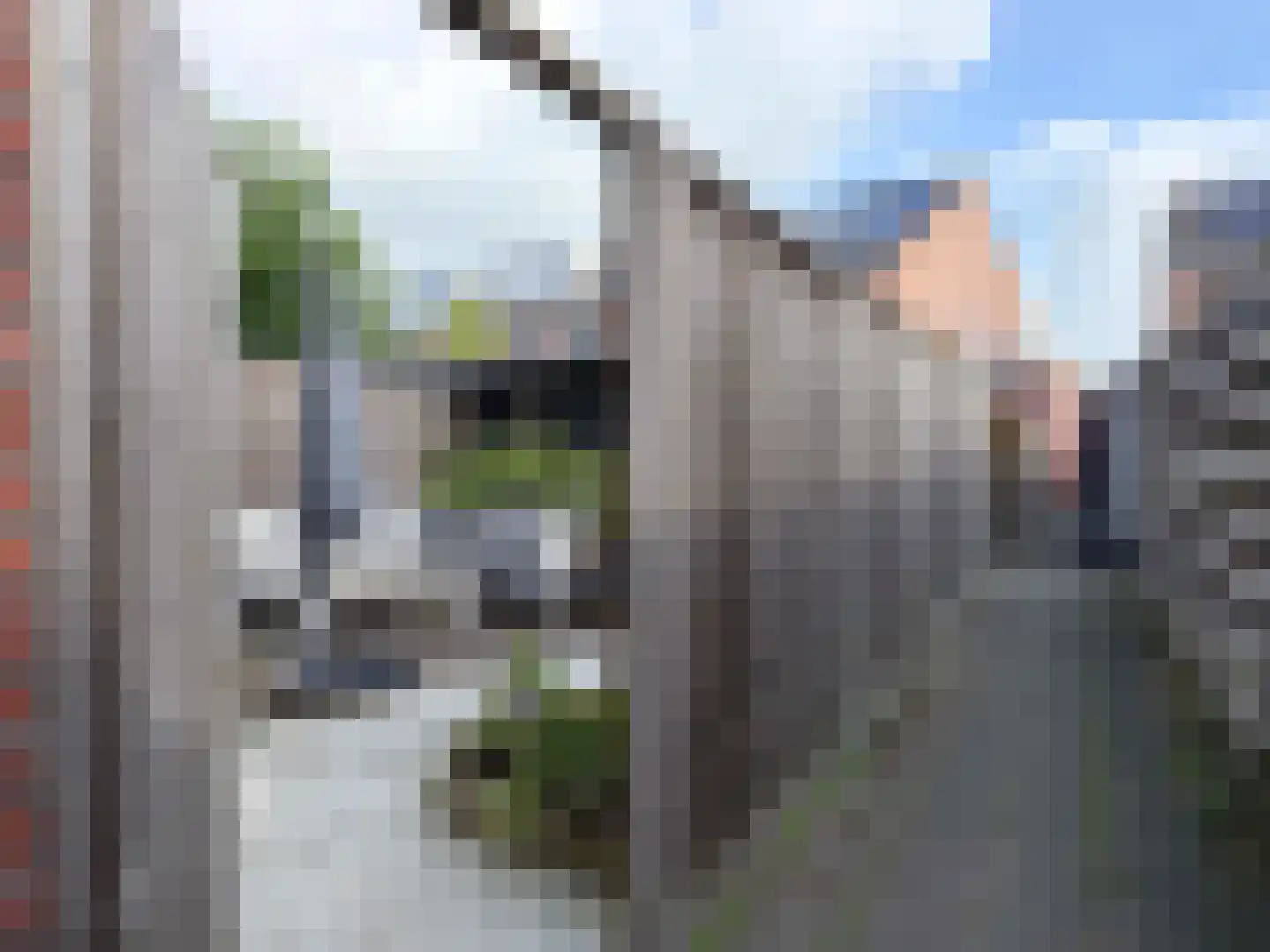 Landauer 26 Hasselt thumbnail 23