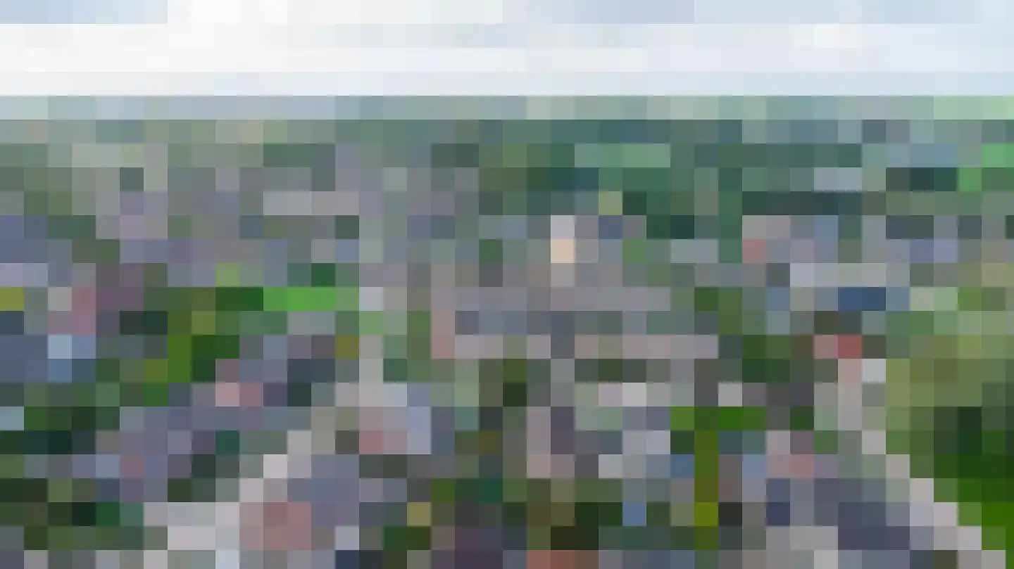 Landauer 26 Hasselt thumbnail 24