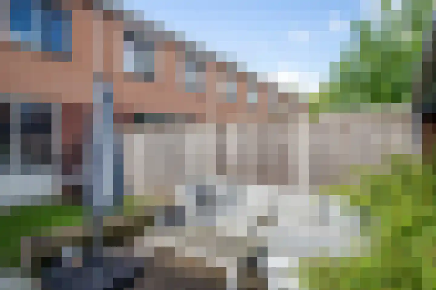 Landauer 26 Hasselt thumbnail 28
