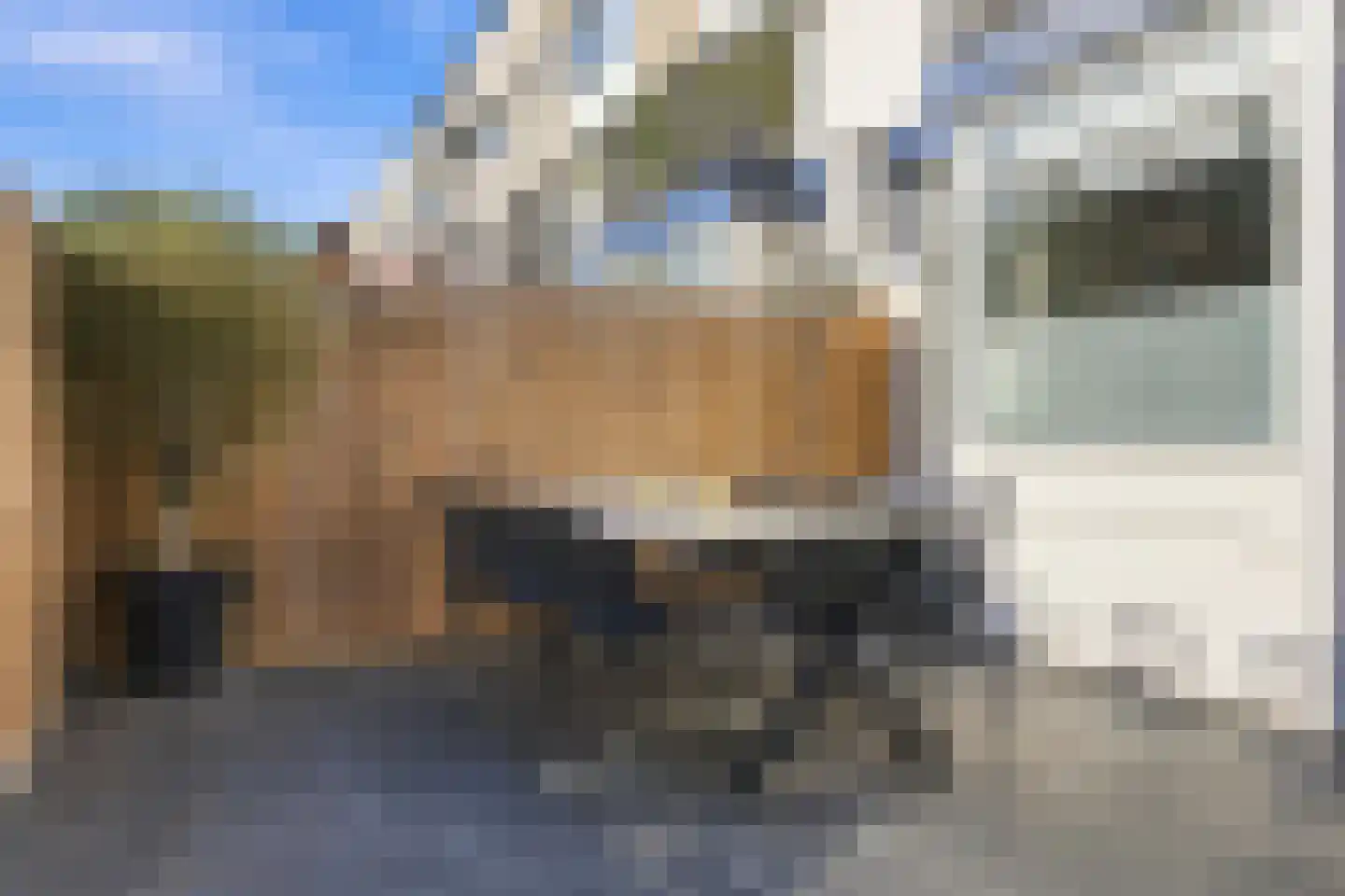Landauerdrift 38 Nieuwegein thumbnail 16