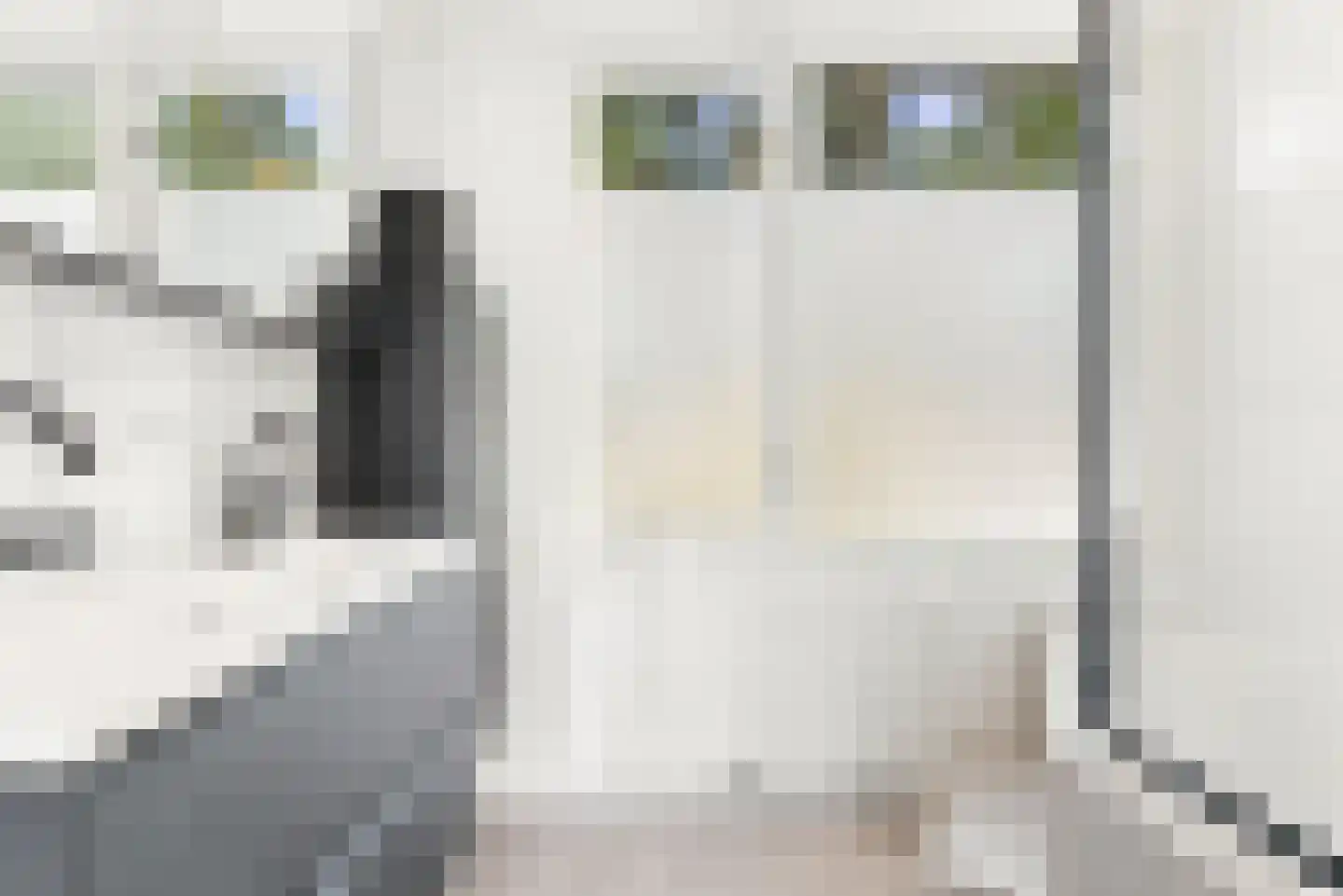 Landauerdrift 38 Nieuwegein thumbnail 32