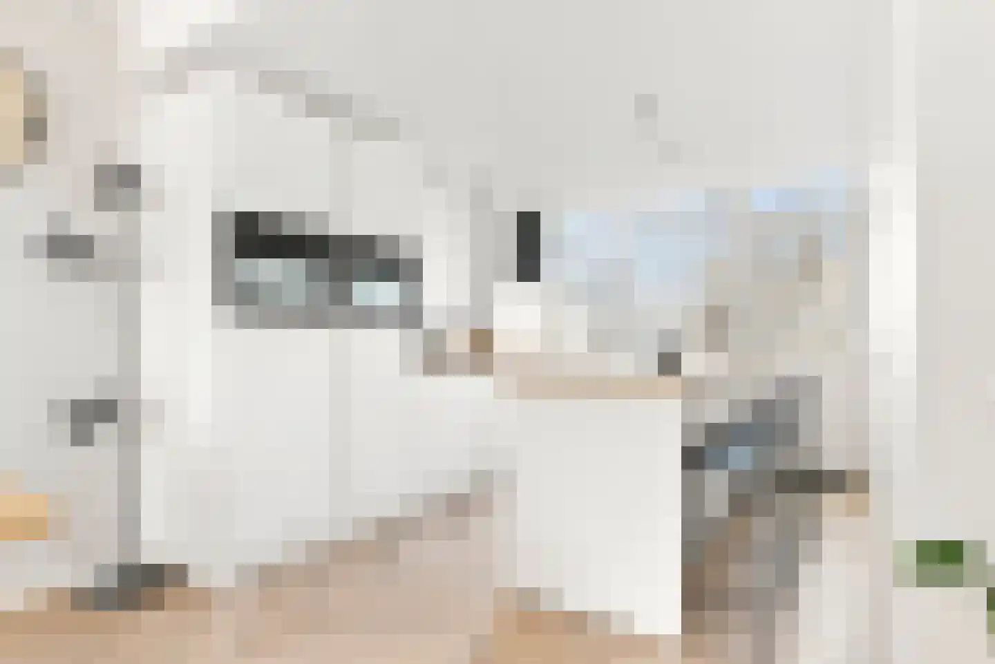 Landauerdrift 38 Nieuwegein thumbnail 4