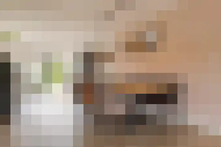 Landauerlaan 10 Leek thumbnail 22