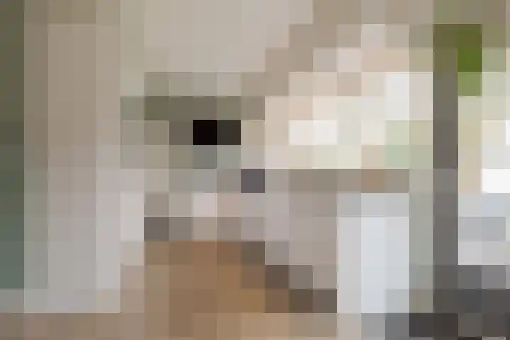 Landauerlaan 10 Leek thumbnail 25