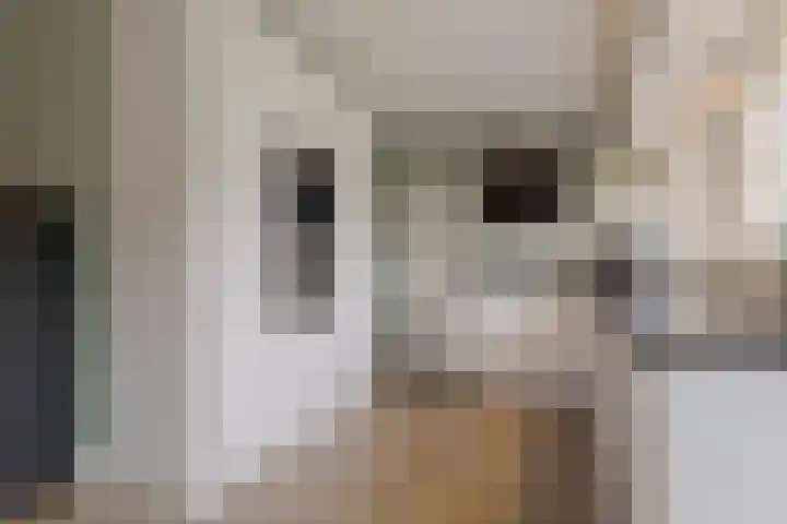 Landauerlaan 10 Leek thumbnail 27