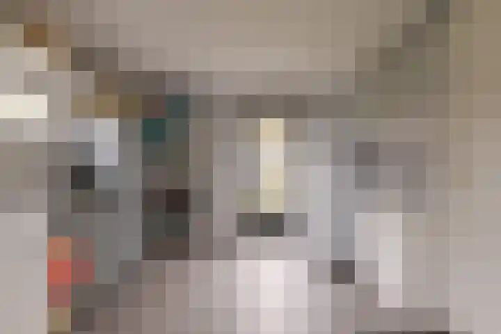 Landauerlaan 10 Leek thumbnail 28