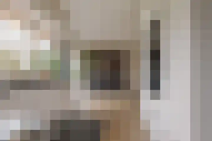 Landauerlaan 10 Leek thumbnail 30