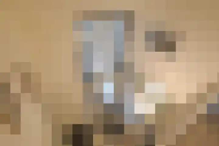 Landauerlaan 10 Leek thumbnail 36