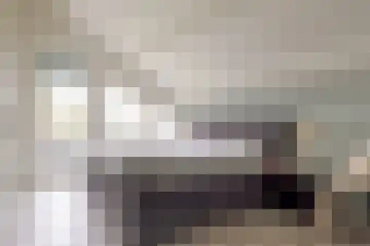 Landauerlaan 10 Leek thumbnail 39