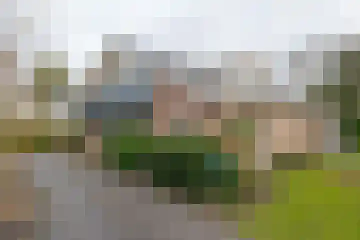 Landauerlaan 10 Leek thumbnail 5