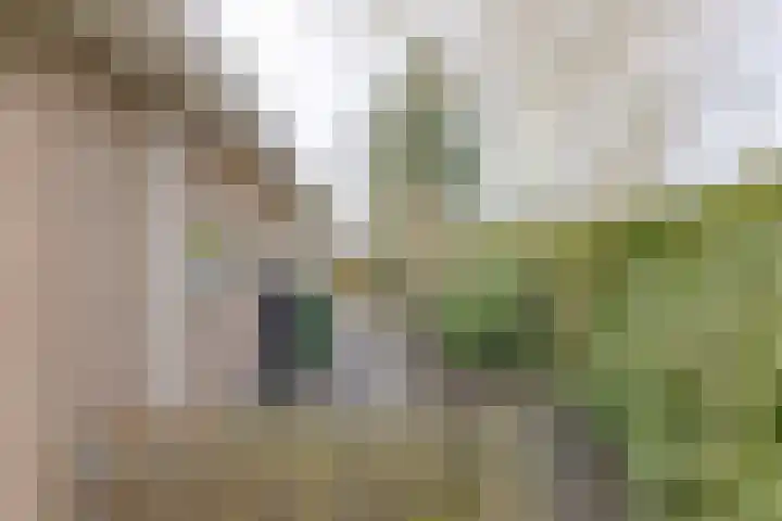 Landauerlaan 10 Leek thumbnail 56
