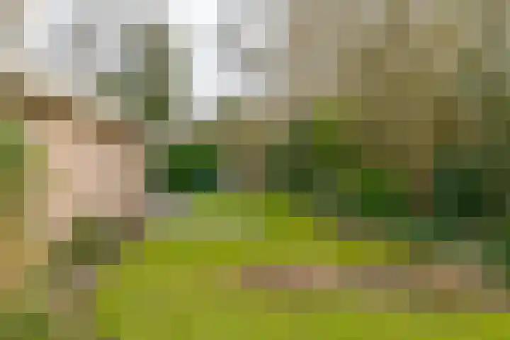 Landauerlaan 10 Leek thumbnail 6