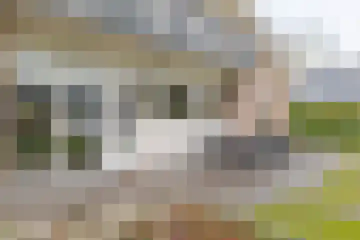Landauerlaan 10 Leek thumbnail 60