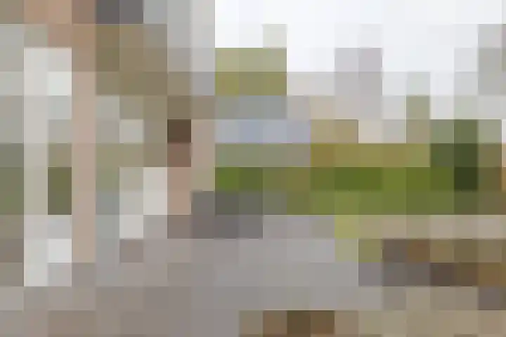 Landauerlaan 10 Leek thumbnail 61