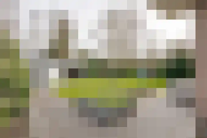 Landauerlaan 10 Leek thumbnail 62