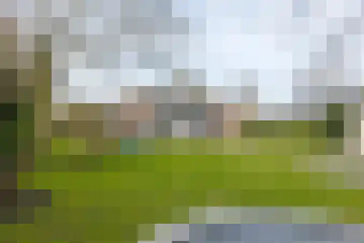 Landauerlaan 10 Leek thumbnail 64