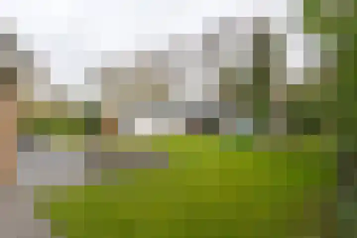 Landauerlaan 10 Leek thumbnail 65