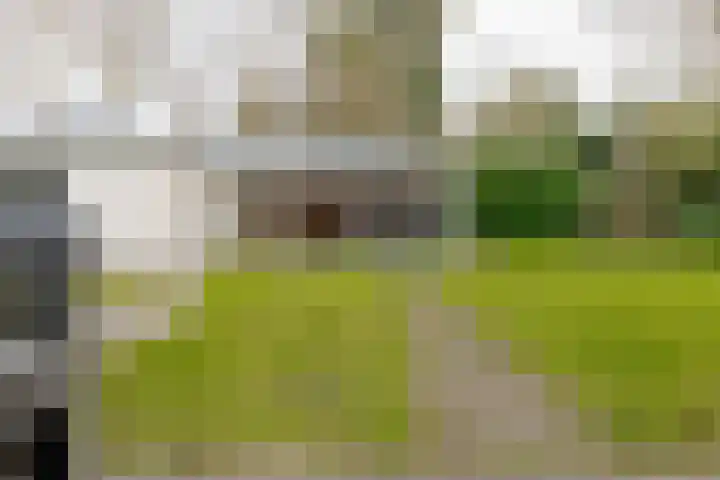 Landauerlaan 10 Leek thumbnail 67