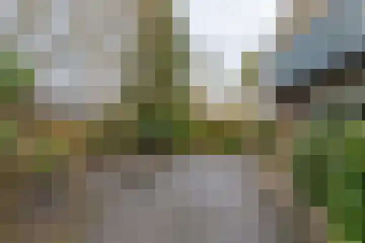 Landauerlaan 10 Leek thumbnail 7
