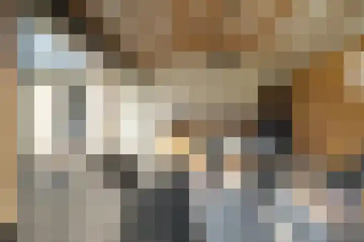 Landauerlaan 10 Leek thumbnail 71